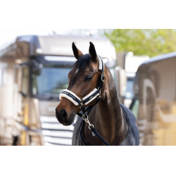 Halster Eskadron imitatiebont Dubbele gesp Zwart Halster Eskadron imitatiebont Dubbele gesp Zwart