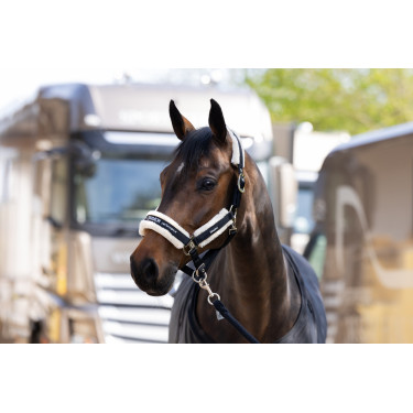 Halster Eskadron imitatiebont Dubbele gesp Zwart Halster Eskadron imitatiebont Dubbele gesp Zwart