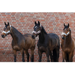 Halster Eskadron imitatiebont Dubbele gesp Asgrijs Blauw