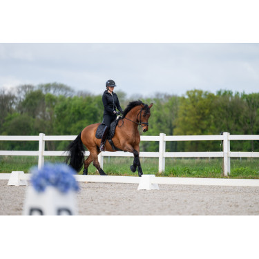 Pikeur damesbroek New Lugana kunstlederen zitvlak 0908 middelhoge taille Zwart Pikeur damesbroek New Lugana kunstlederen zitvlak 0908 middelhoge taille Zwart