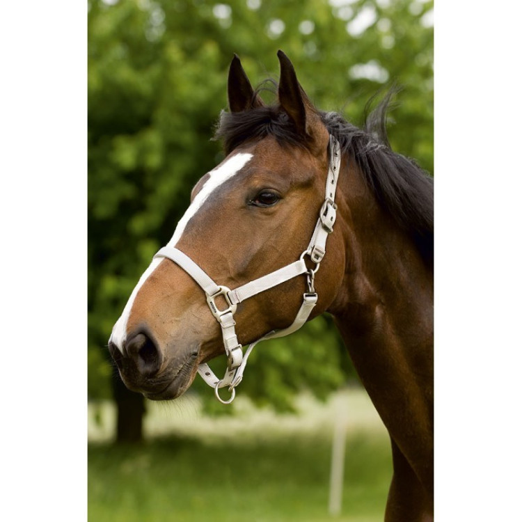 Halster Equithème Nylon Halster Equithème Nylon
