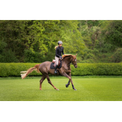 Amia-broek 6805 Pikeur kniestukken grip midhoge taille dames Taupe Bruin