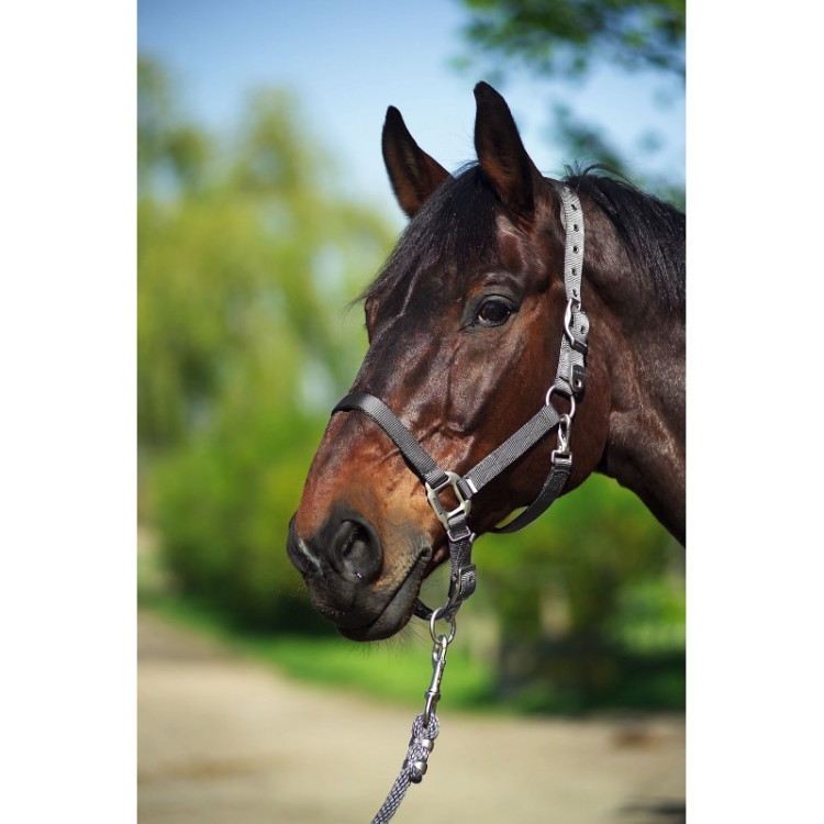 Halster Equithème Nylon Halster Equithème Nylon