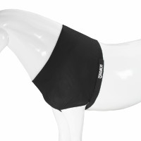 Schouderbeschermer Eskadron Dynair Mesh Zwart Schouderbeschermer Eskadron Dynair Mesh Zwart