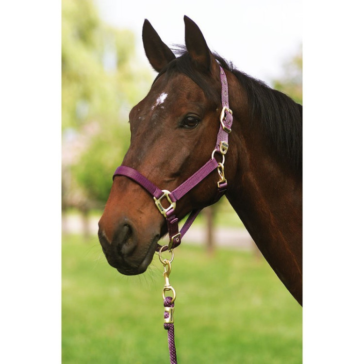 Halster Equithème Nylon Halster Equithème Nylon