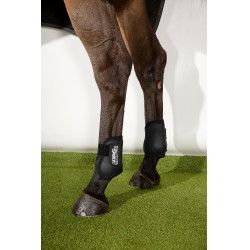 Eskadron Compact achterste kogelbeschermers Zwart Eskadron Compact achterste kogelbeschermers Zwart