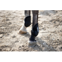 Eskadron Compact achterste kogelbeschermers Zwart Eskadron Compact achterste kogelbeschermers Zwart