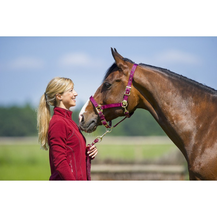 Halster Equithème Nylon Halster Equithème Nylon