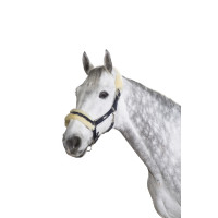 Halster Eskadron gesp Pin lamswol Bleu nuit