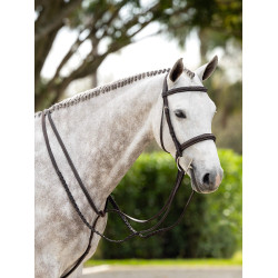 Bridon Hunter met veters LeMieux Havanna / zilver Bruin