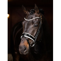 Frontal LeMieux Ice Blue Crystal Zwart