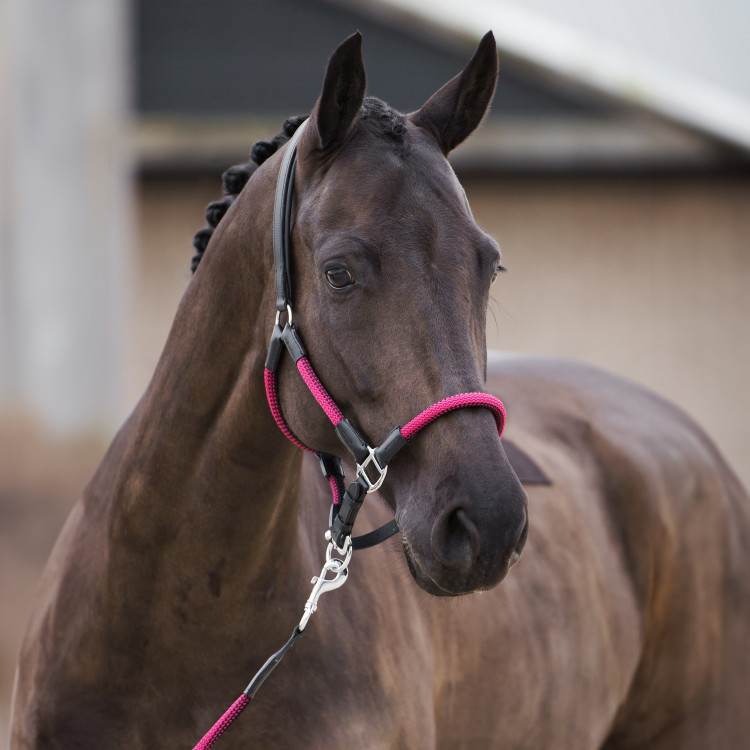 Longe HV Polo Frankie