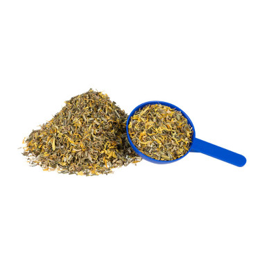 Goudsbloem & Klis Hilton Herbs Goudsbloem & Klis Hilton Herbs