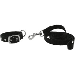 Halsband en lijn voor hond Riding World Oscar