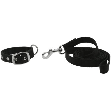 Halsband en lijn voor hond Riding World Oscar Halsband en lijn voor hond Riding World Oscar