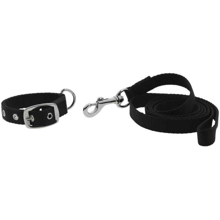 Halsband en lijn voor hond Riding World Oscar Halsband en lijn voor hond Riding World Oscar