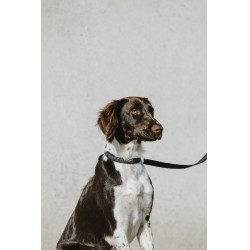 Halsband voor hond Equithème Nala