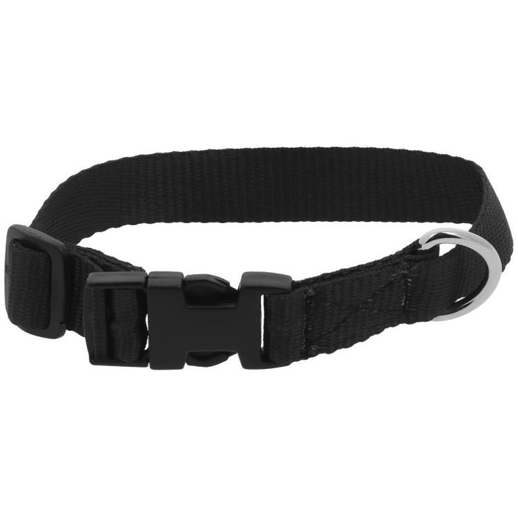 Halsband voor hond Riding World Pat Halsband voor hond Riding World Pat