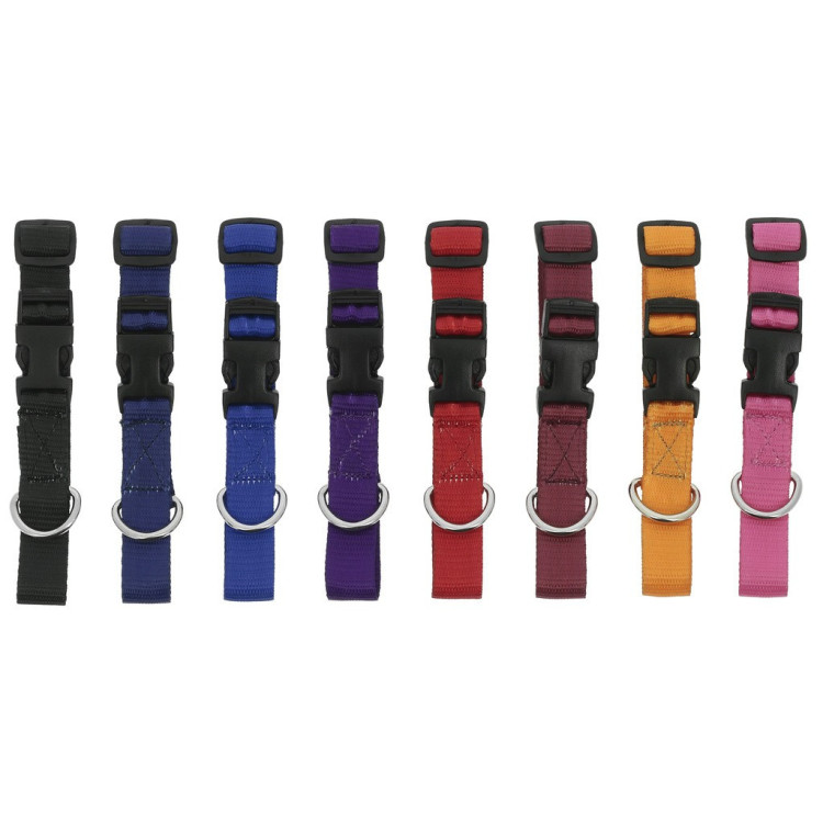 Halsband voor hond Riding World Pat Halsband voor hond Riding World Pat