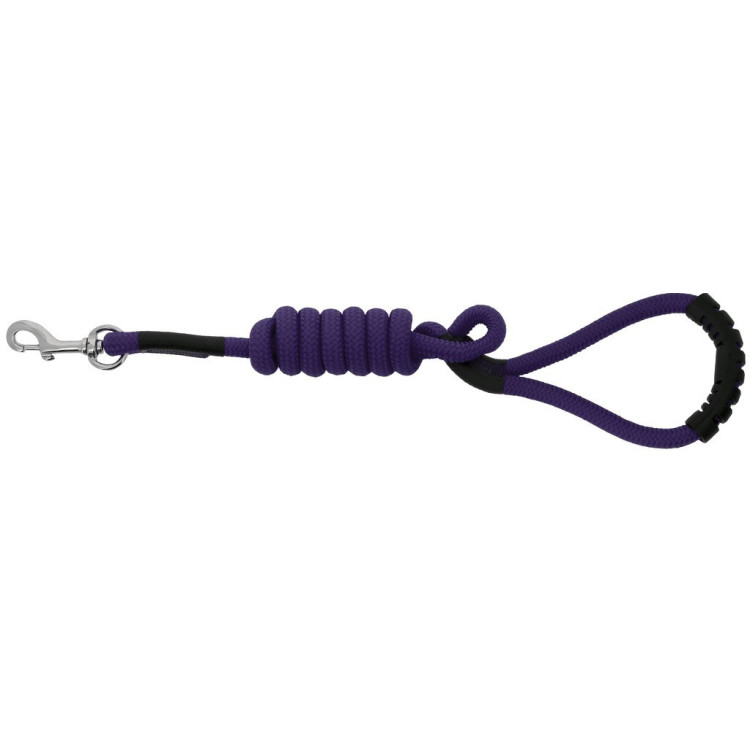 Hondenriem met handvat Riding World Lucky Hondenriem met handvat Riding World Lucky