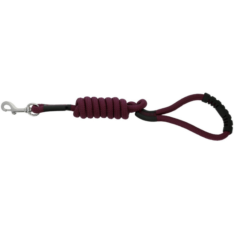 Hondenriem met handvat Riding World Lucky Hondenriem met handvat Riding World Lucky