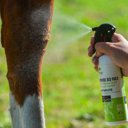 Spray tegen haargroei Ekinat Spray tegen haargroei Ekinat