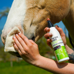 Lotion voor gevoelige zones Ekinat Lotion voor gevoelige zones Ekinat