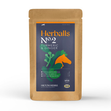 Herballs Nr. 2 Kurkuma & Gember Hilton Herbs