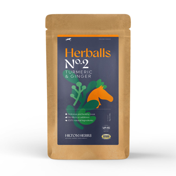 Herballs Nr. 2 Kurkuma & Gember Hilton Herbs