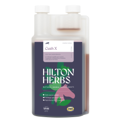 Cush X Gold Hilton Herbs