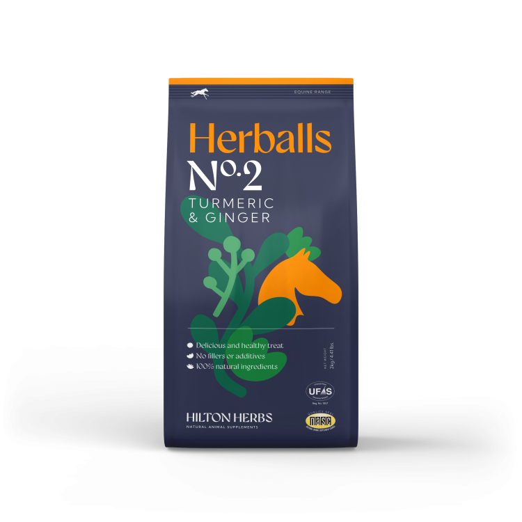 Herballs Nr. 2 Kurkuma & Gember Hilton Herbs