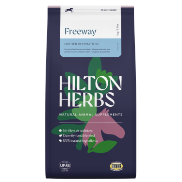 Freeway Hilton Kruiden Freeway Hilton Kruiden