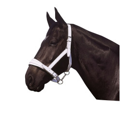 Norton Club leren halster met chroomafwerking