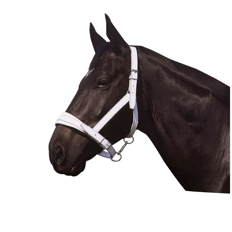 Norton Club leren halster met chroomafwerking