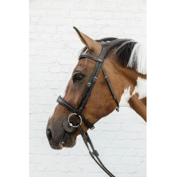 Anatomische Neusriem Zonder Kinriem New English Collection Dy'on Zwart