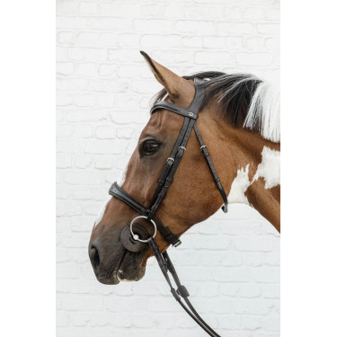 Anatomische Neusriem Zonder Kinriem New English Collection Dy'on Anatomische Neusriem Zonder Kinriem New English Collection Dy'on