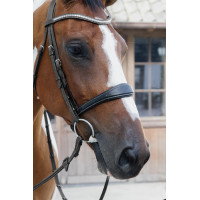 Anatomische Neusriem zonder Kinriem Collectie US Jumping Dy'on Zwart