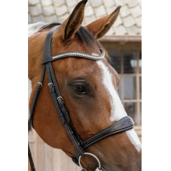 Anatomische Neusriem zonder Kinriem Collectie US Jumping Dy'on Zwart