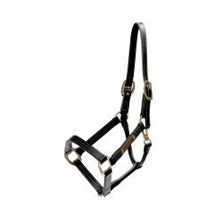 Lederen halster Wellington Kentucky Zwart Lederen halster Wellington Kentucky Zwart