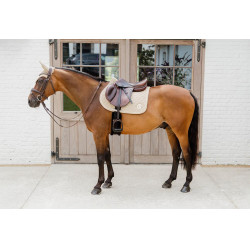 Tapijt ui quilt 3D logo springend beige Kentucky Beige