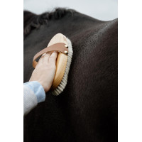 Zachte borstel Grooming Deluxe Bruin