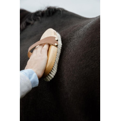 Zachte borstel Grooming Deluxe Bruin