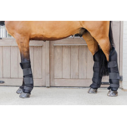 Stable boots PROtect voor voorbenen lange versie Kentucky Zwart Stable boots PROtect voor voorbenen lange versie Kentucky Zwart