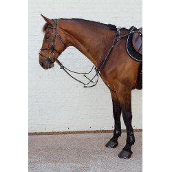 Gevlochten kruisneusriem New English Collection Dy'on Zwart