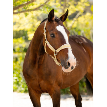 Halster LeMieux Versailles Mimosa