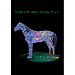 Therapeutische achterbeenbeschermers Zandona Air Therapeutische achterbeenbeschermers Zandona Air