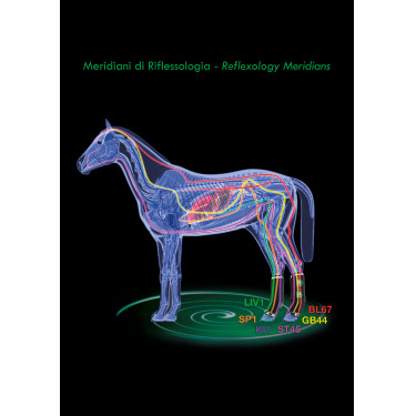 Therapeutische achterbeenbeschermers Zandona Air Therapeutische achterbeenbeschermers Zandona Air