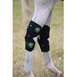 Therapeutische spronggewrichtbeschermer Zandona Air Zwart Therapeutische spronggewrichtbeschermer Zandona Air Zwart