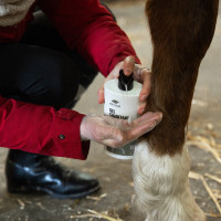 Verwarmende gel Ekinat