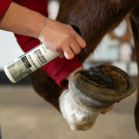 Verzorgingslotion voor straal Ekinat